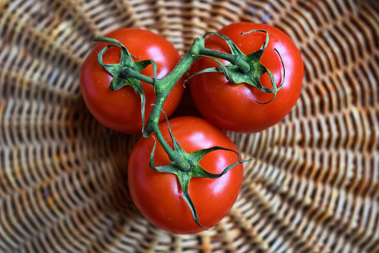 Yemek Pazaryeri Yazılımı